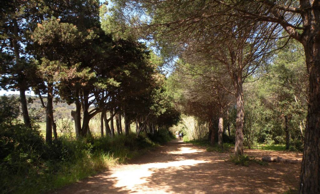 Porquerolles, Parco Nazionale di Port-Cros, Francia